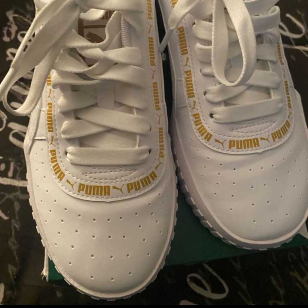 Pumas
